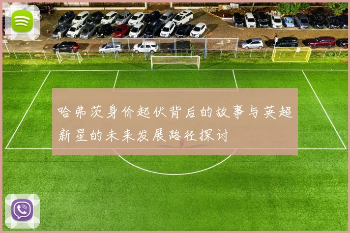 哈弗茨身价起伏背后的故事与英超新星的未来发展路径探讨
